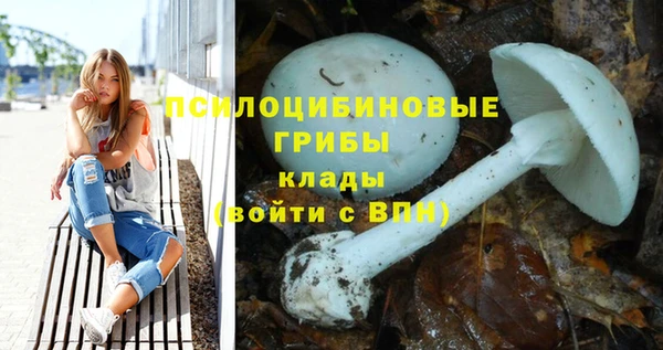 кокс Белокуриха