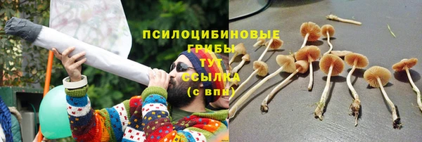 МДПВ Беломорск
