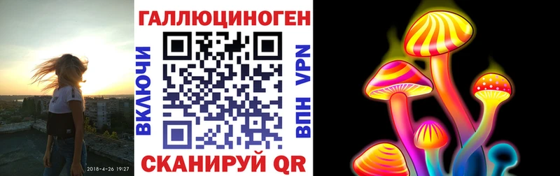 сайты даркнета как зайти  Болотное  Псилоцибиновые грибы Cubensis 